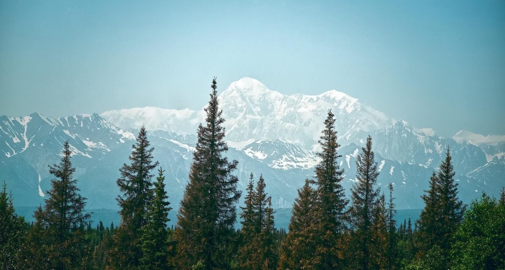 Главная