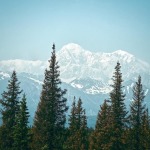 Как посетить Статую Свободы самостоятельно